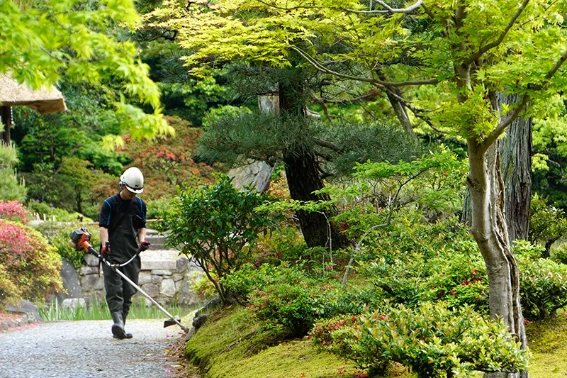 初めてのブログ