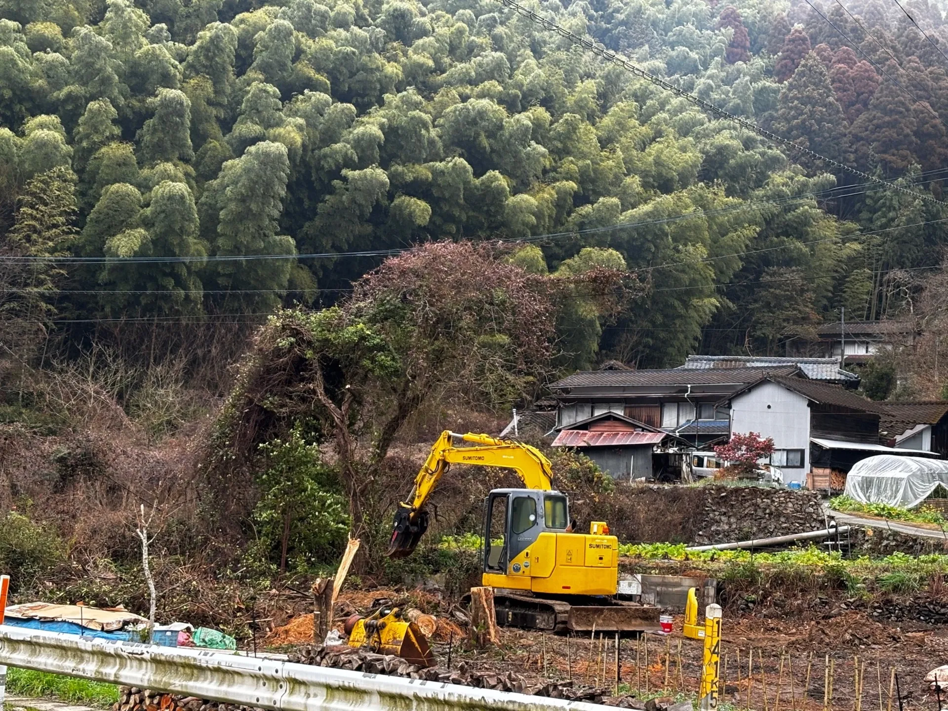 【福岡県八女市】解体工事&伐採、抜根