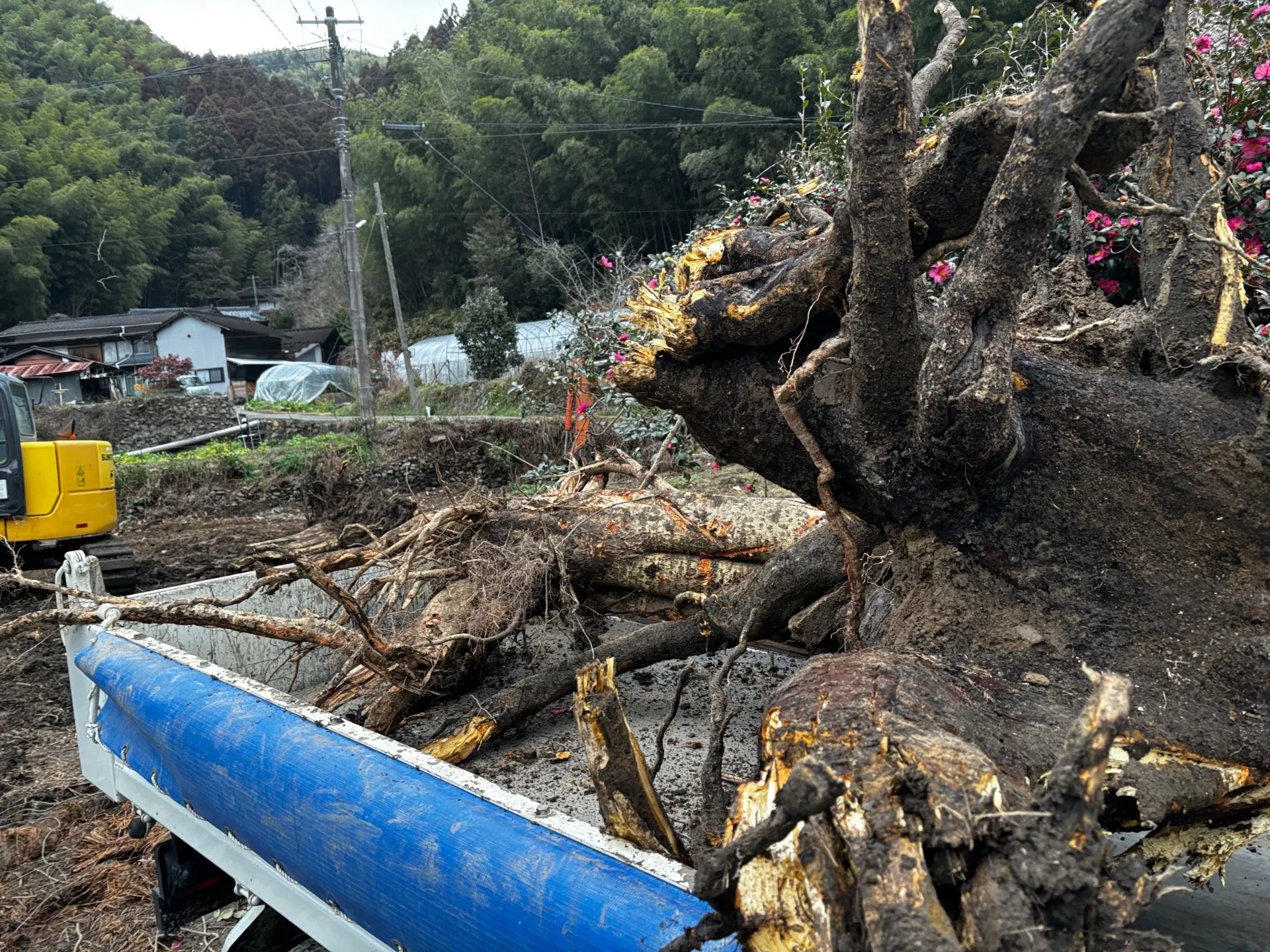 【福岡県八女市】解体工事&伐採、抜根