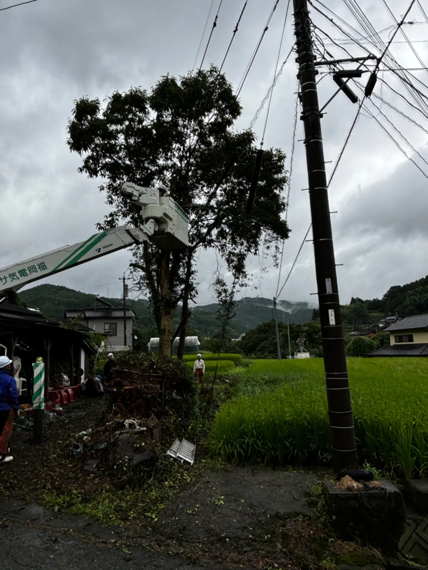 【福岡県八女市黒木町】伐採