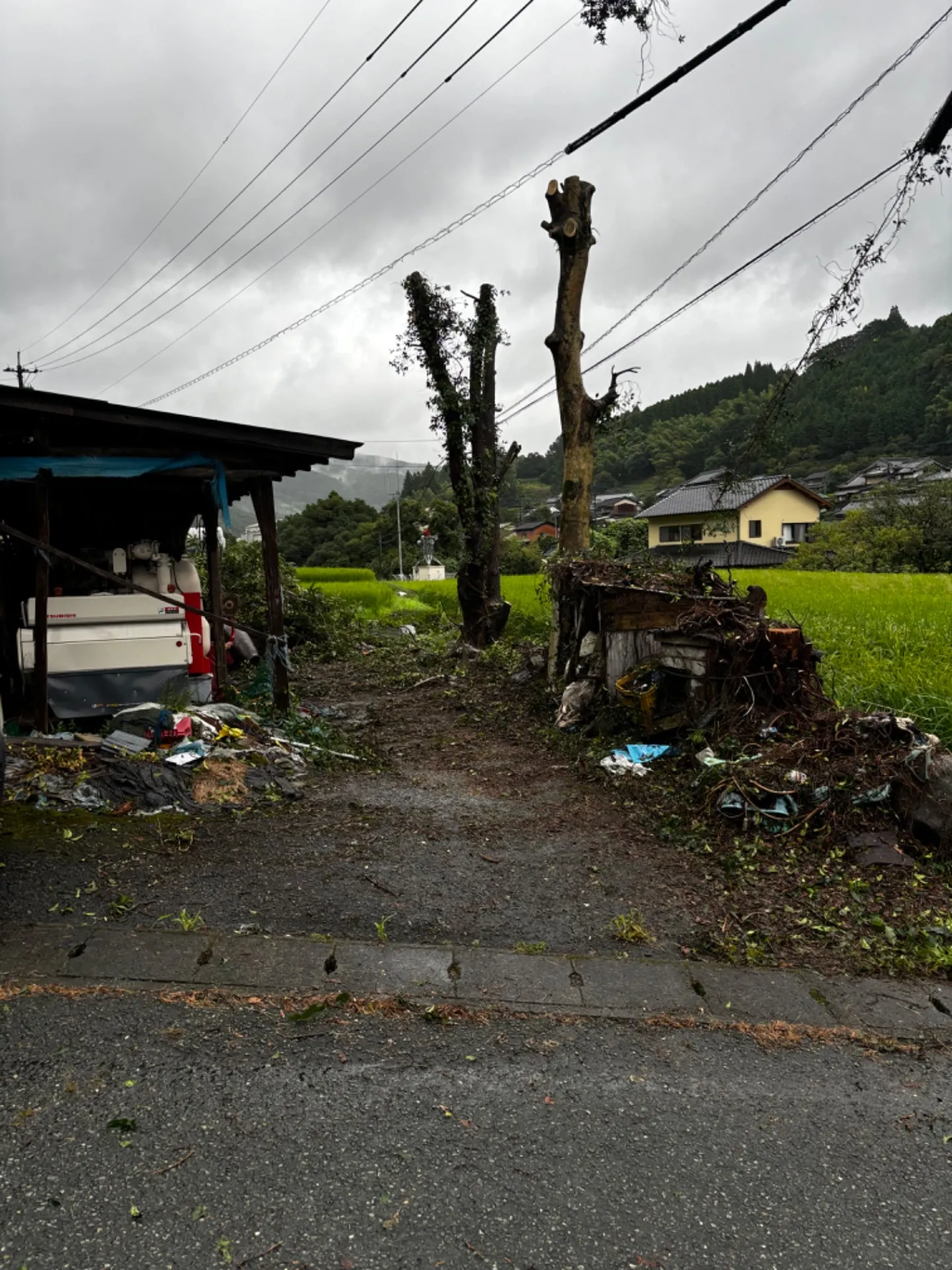 【福岡県八女市黒木町】伐採