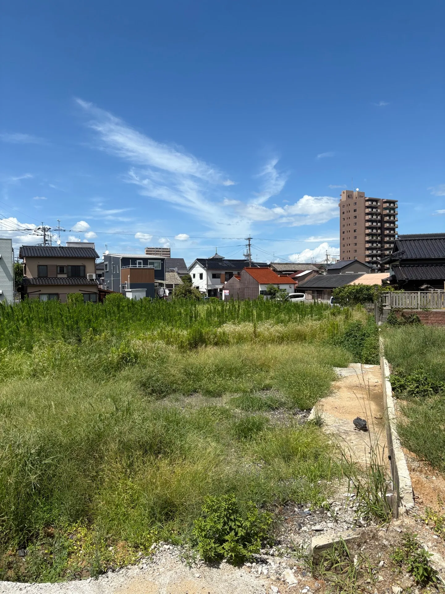 【福岡県飯塚市】草刈り(処分込み)